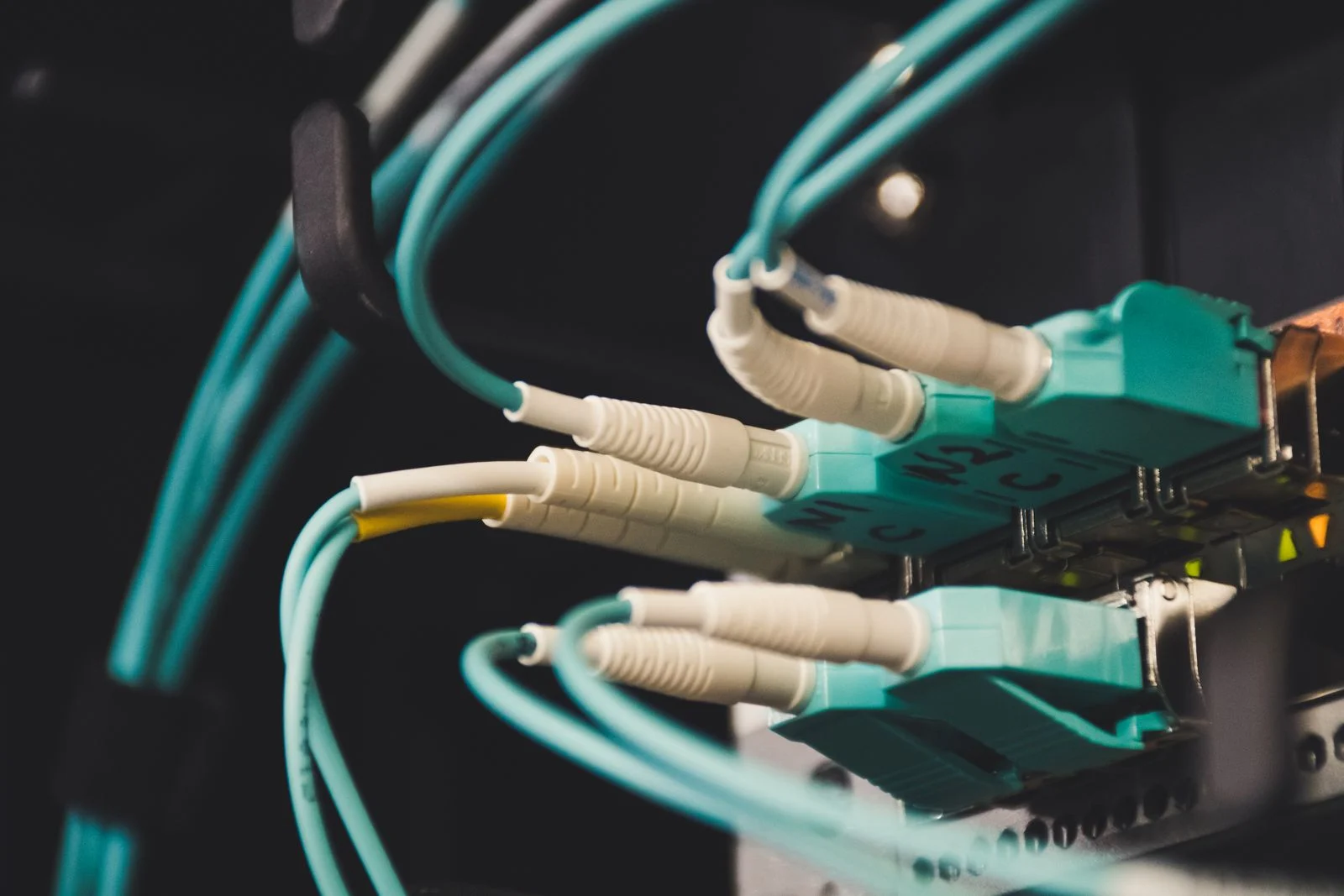 Conectores LC dúplex de fibra óptica conectados en un equipo de red