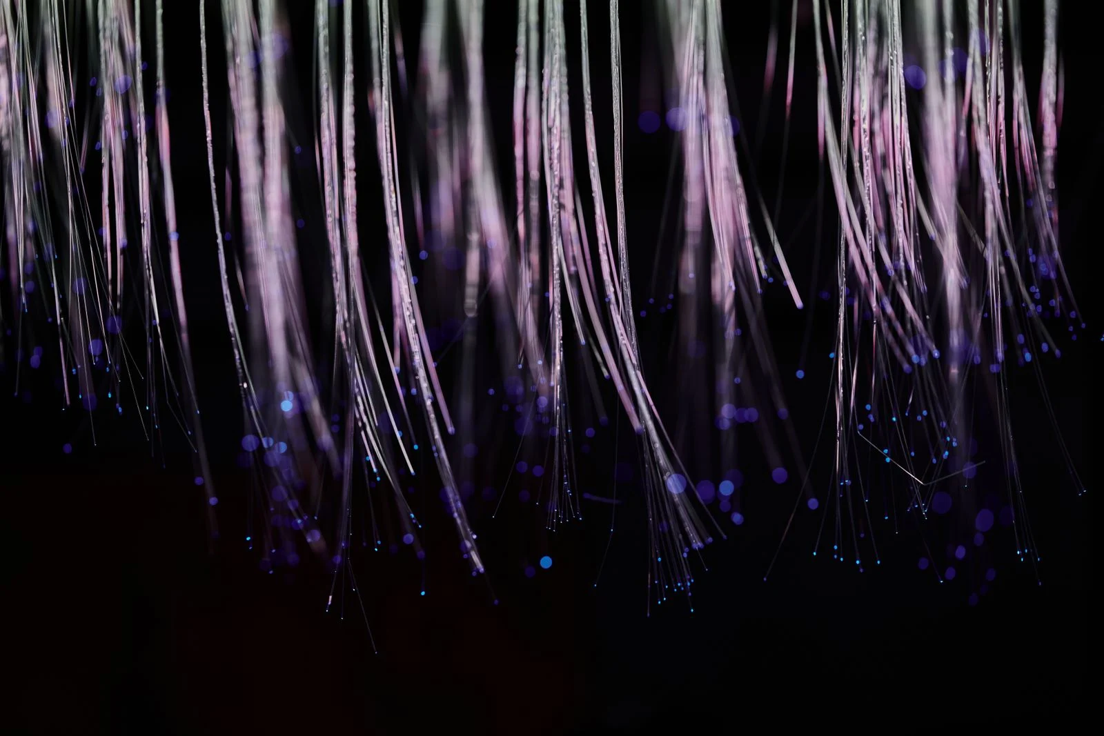Hilos de fibra óptica colgando iluminados sobre fondo oscuro