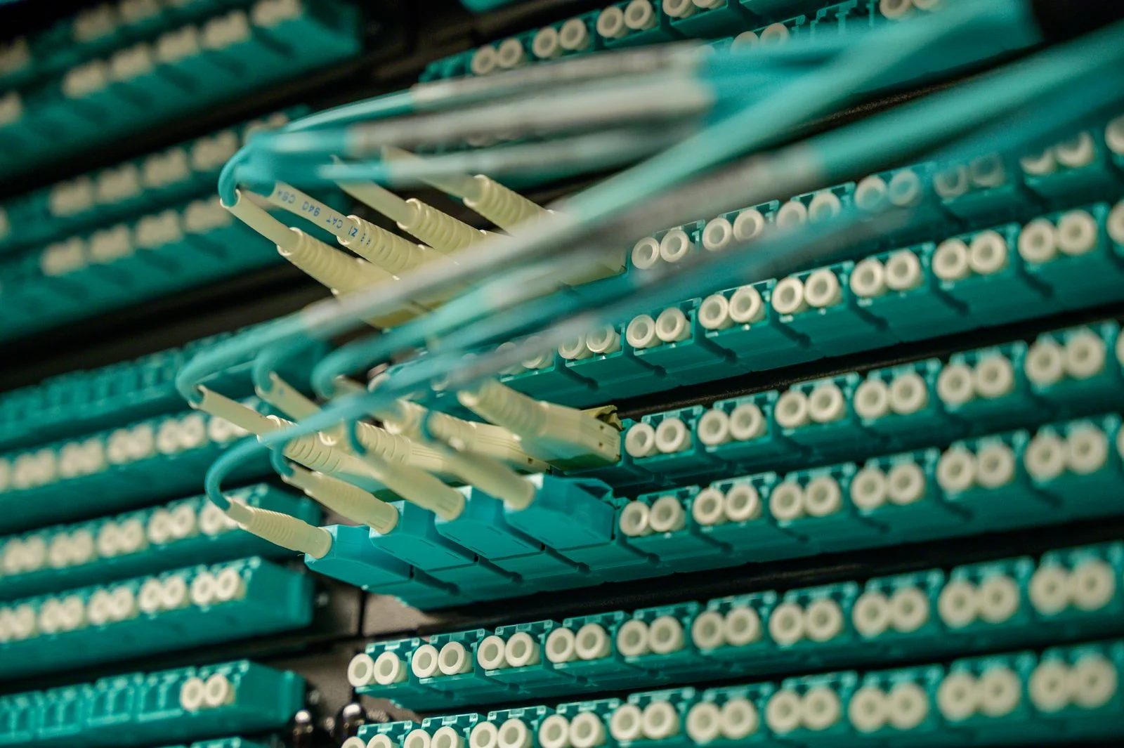 Panel de fibra óptica de alta densidad con conectores LC dúplex en color aqua