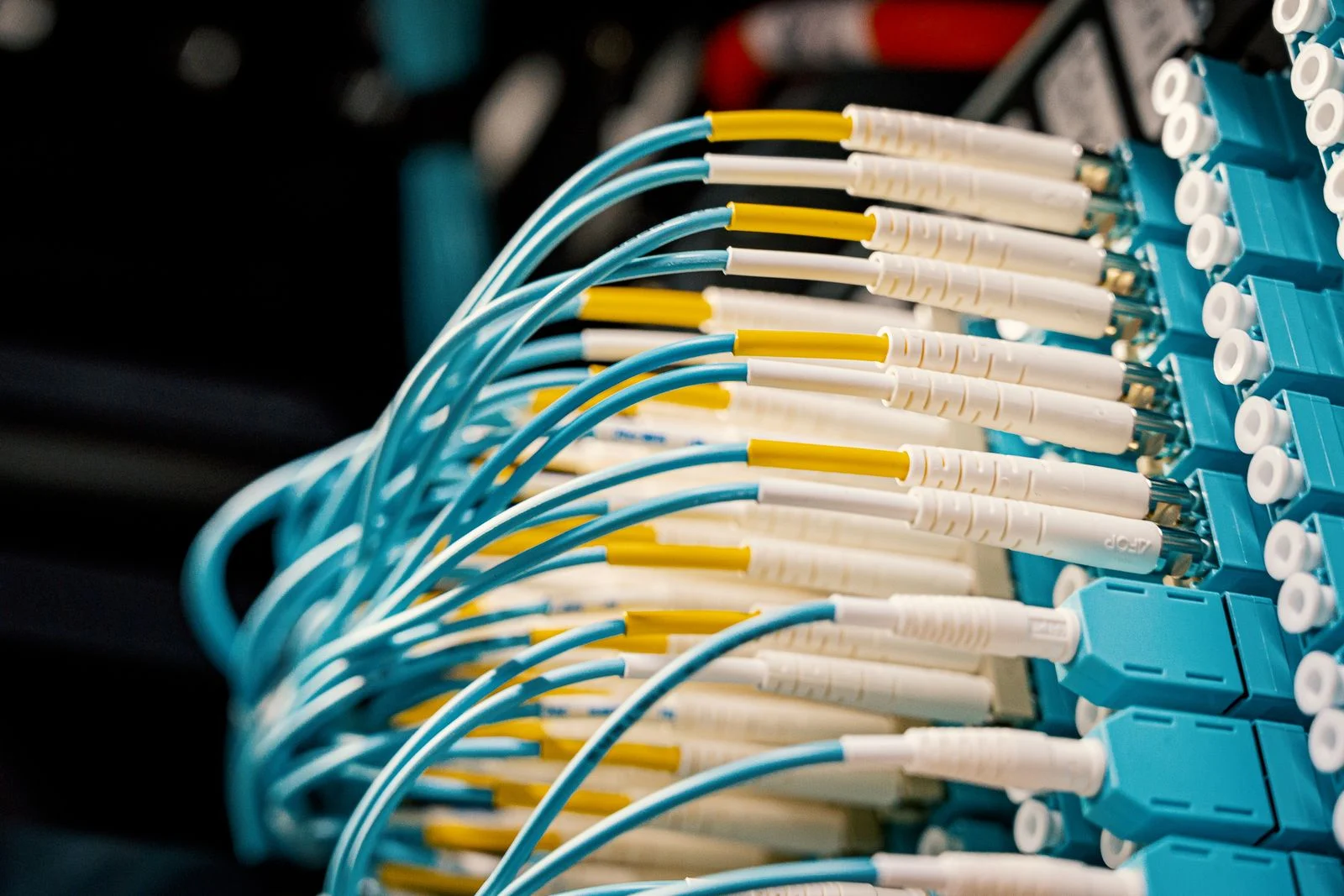 Patch cords de fibra óptica conectados en un panel de distribución