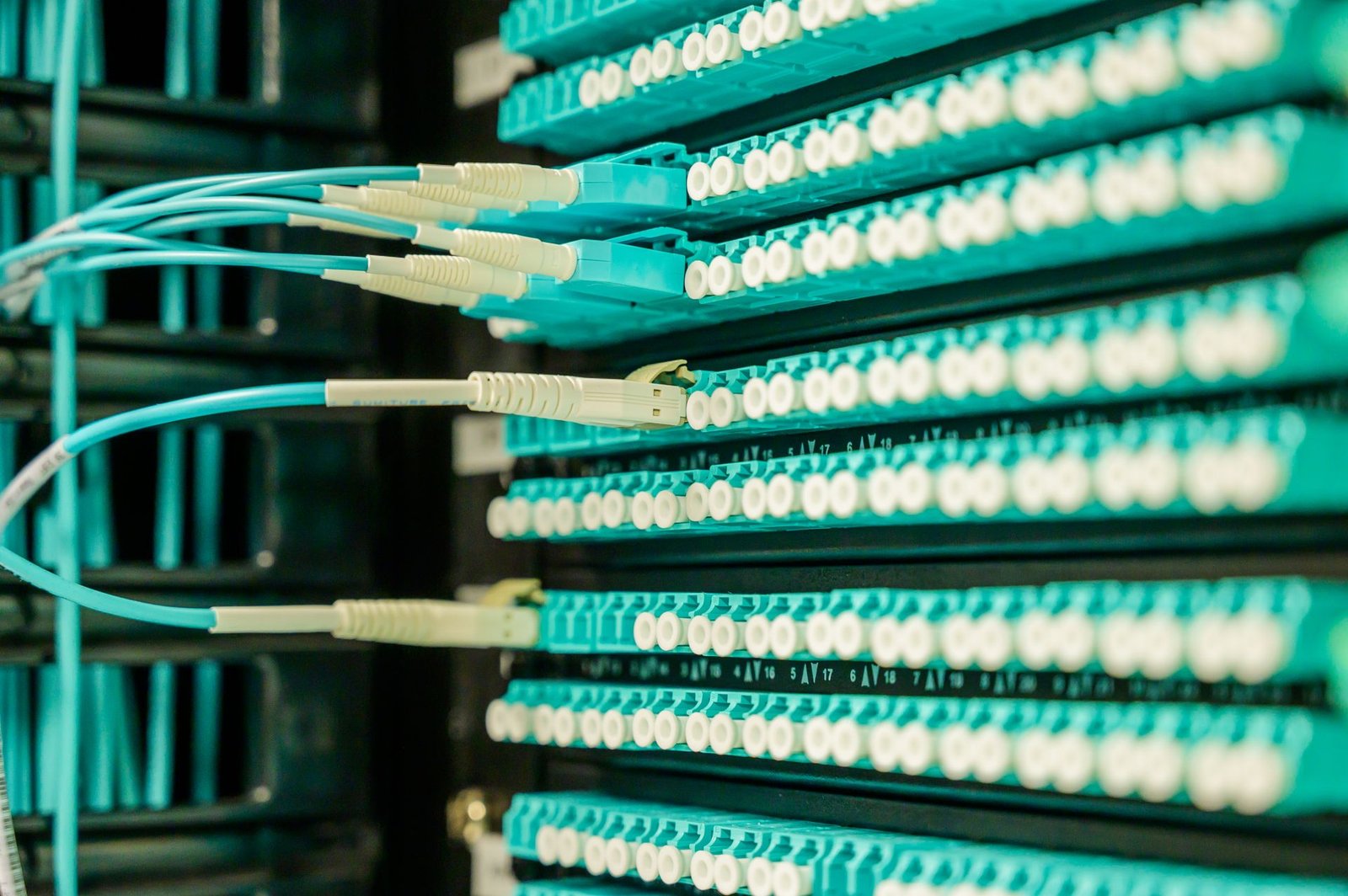 Cables de red conectados ordenadamente a un patch panel de cableado estructurado