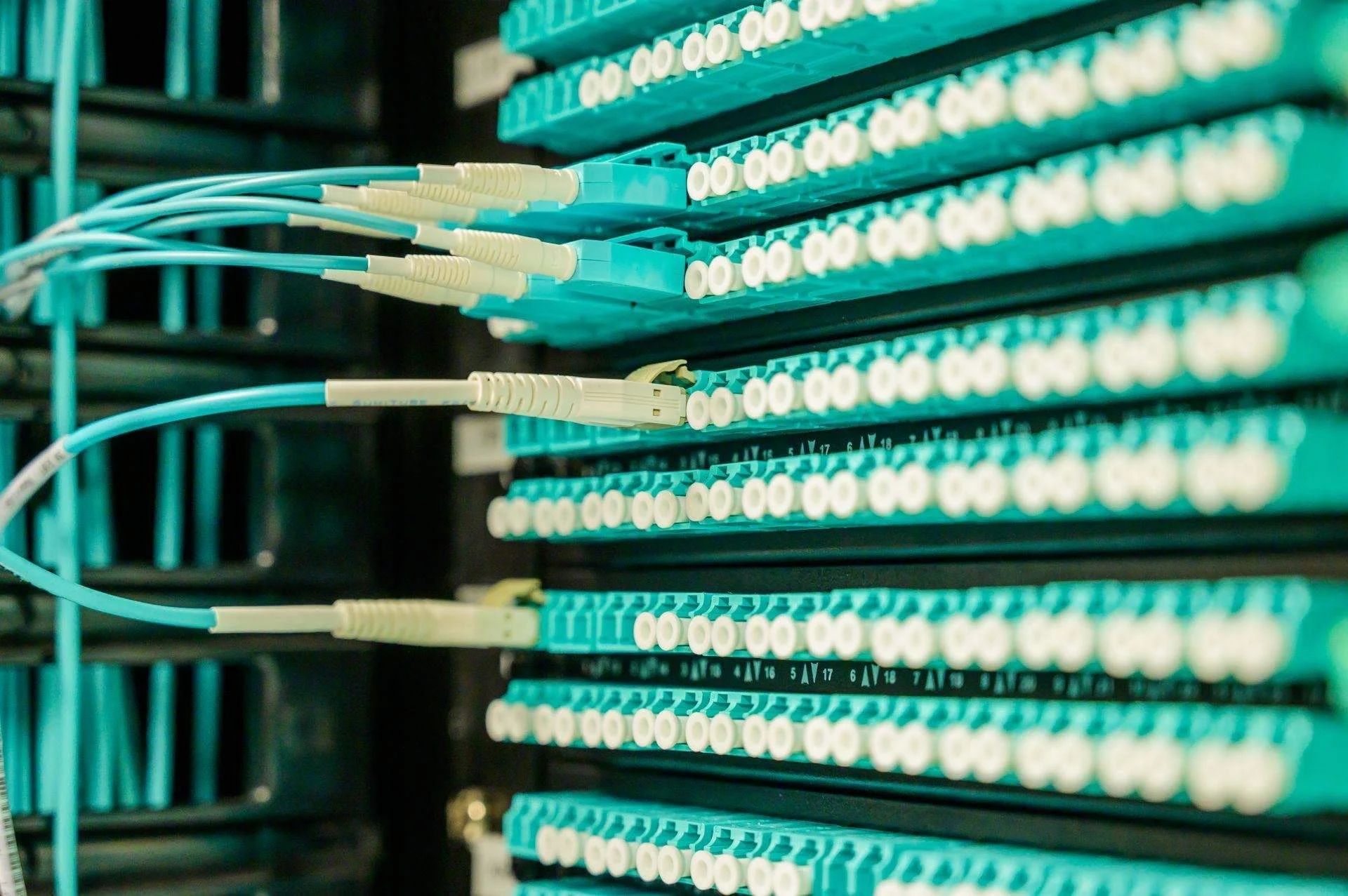Instalación Cat6 en Aguascalientes