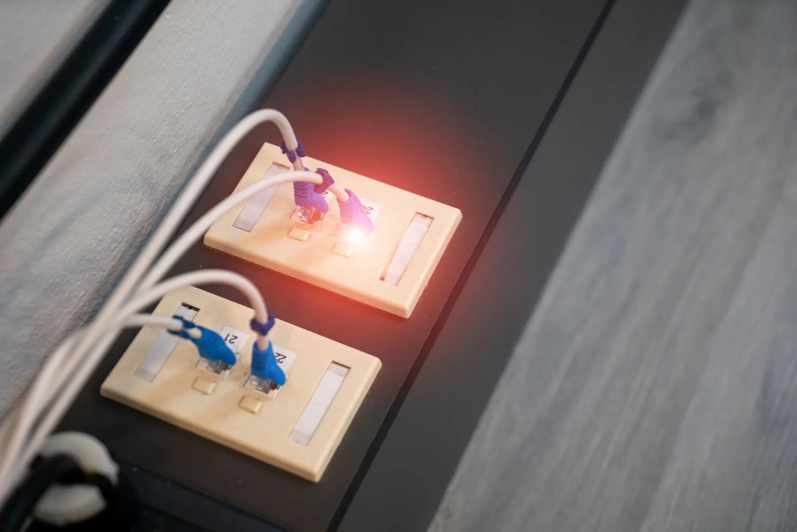 Salidas de red en muro con cables conectados y un indicador encendido